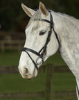 Glaze & Gordon Flat Cavesson Noseband with Flash