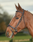 Glaze & Gordon Deluxe Comfort Padded Bridle
