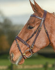 Glaze & Gordon Flat Cavesson Noseband with Flash