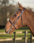 Glaze & Gordon Luxury Raised Cavesson Noseband