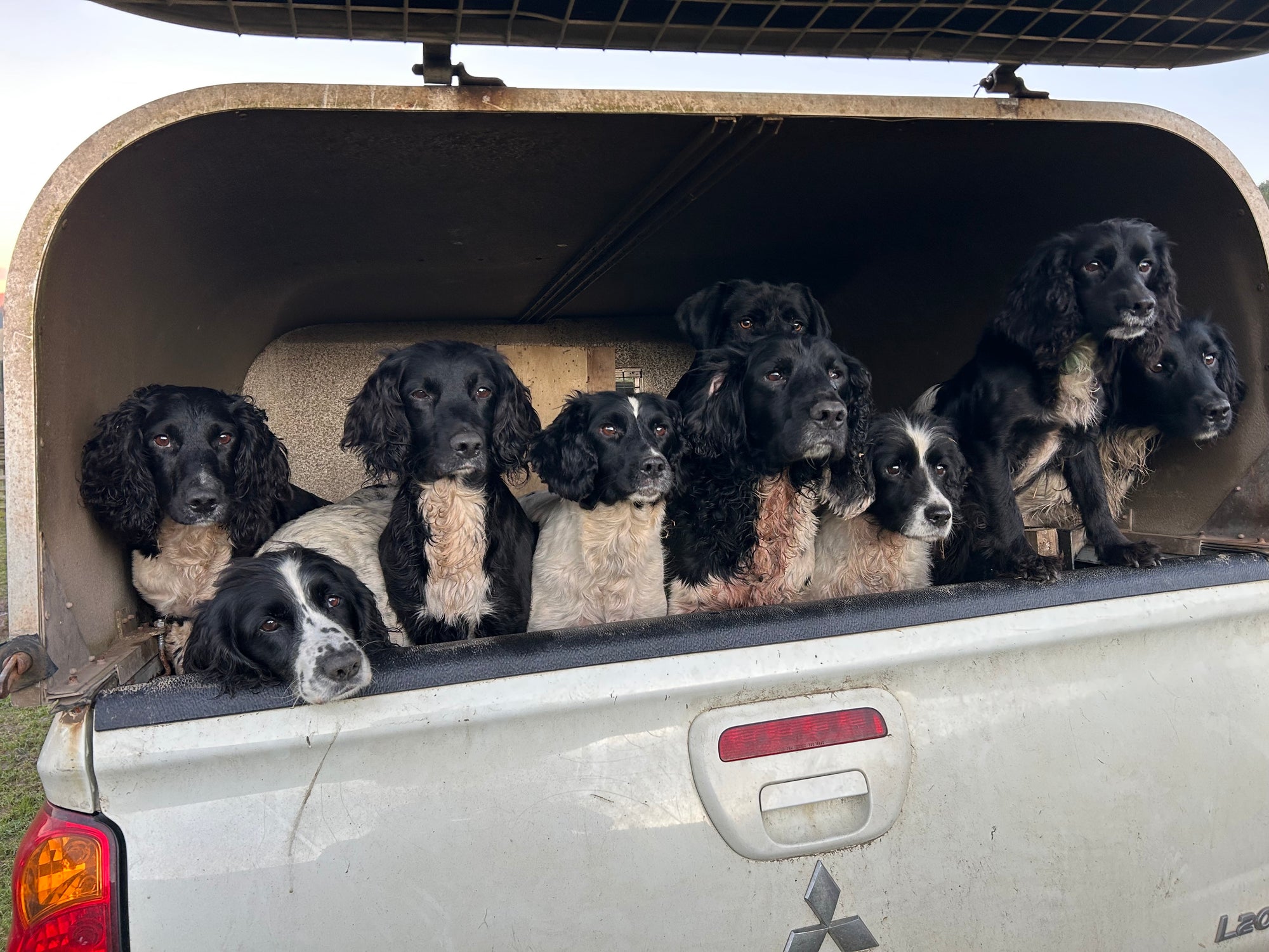 Glaze &amp; Gordon Countryside Charity Calendar 2026