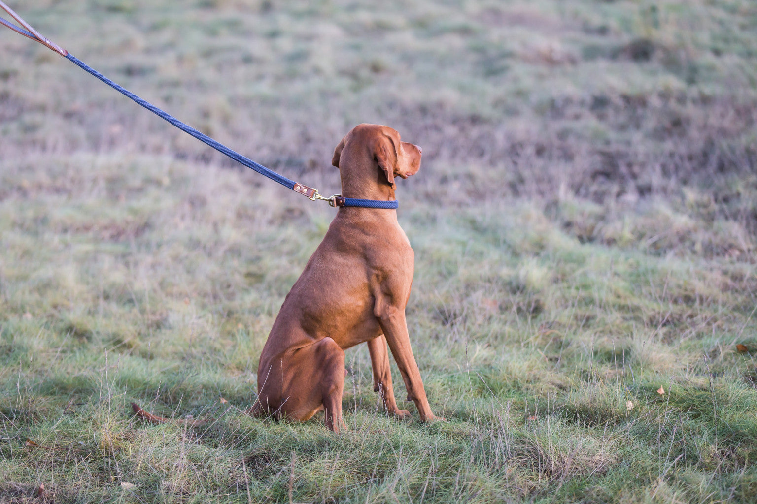 Leyburn Rolled Tweed Lead