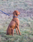 Leyburn Rolled Tweed Lead