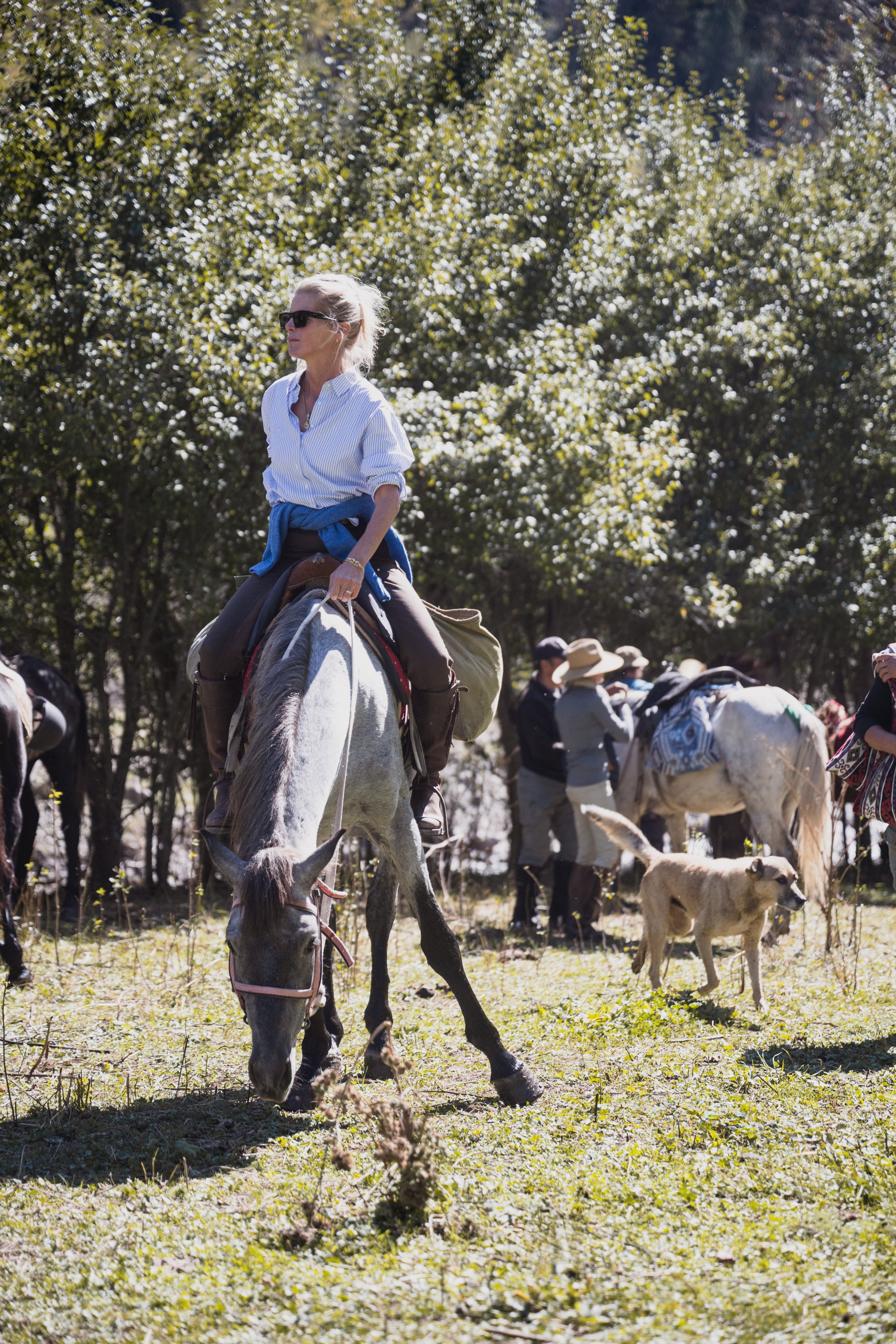 Alexandra Tolstoy X Glaze &amp; Gordon Collection &#39;Sacha&#39; Ladies Shirt