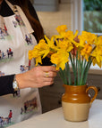 Glaze & Gordon 'Well Met' Apron