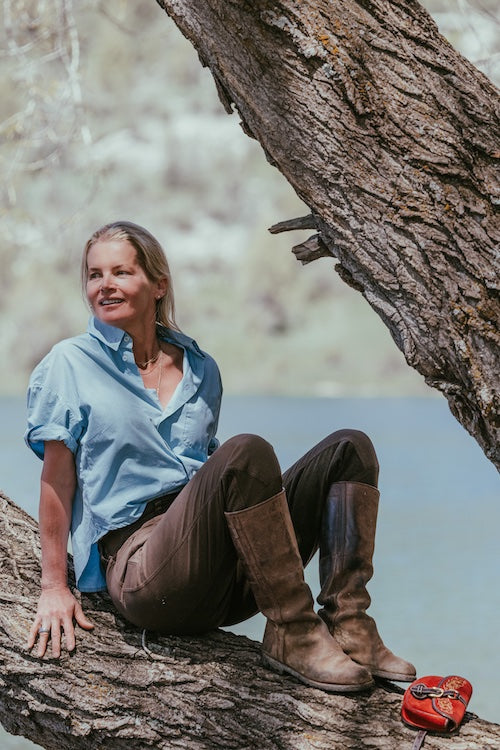 Glaze &amp; Gordon X Alexandra Tolstoy Traditional Training Unisex Breeches - Chocolate Brown