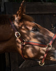 Glaze & Gordon Deluxe Padded Leather Headcollar - Handcrafted