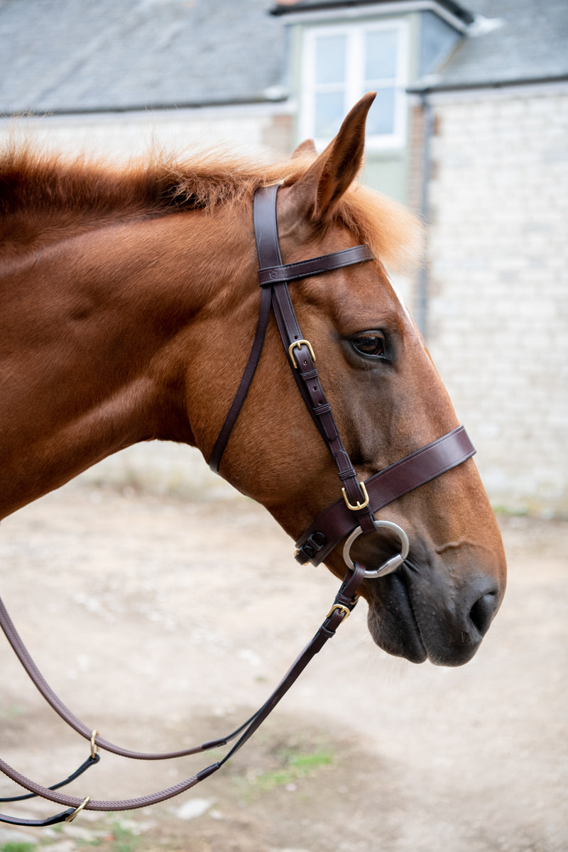 Glaze & Gordon Deluxe Flat Bridle