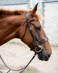 Glaze & Gordon Deluxe Flat Bridle