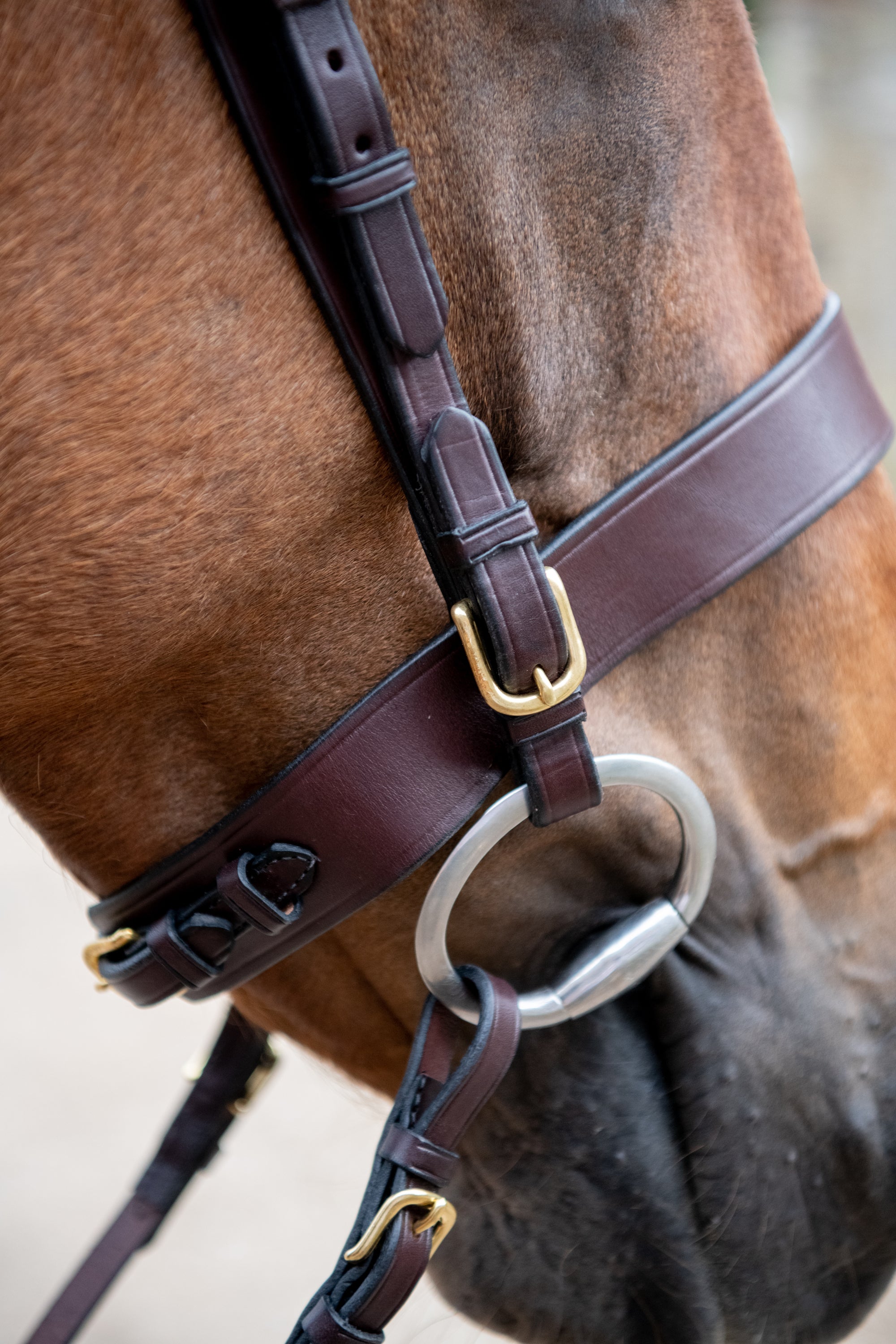 Build Your Own Bridle – Glaze & Gordon