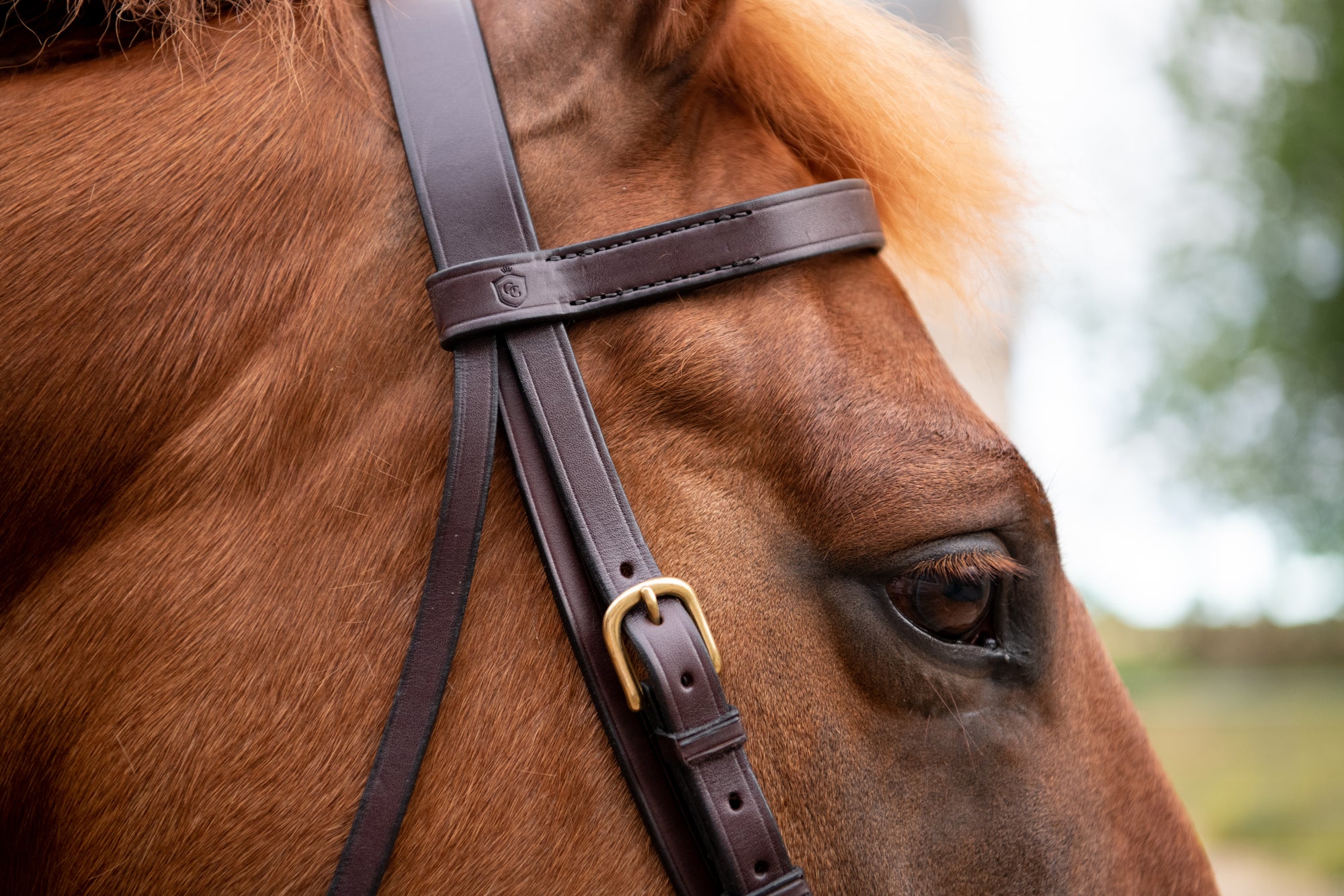 Glaze &amp; Gordon Deluxe Flat Bridle