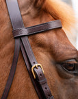 Build Your Own Bridle