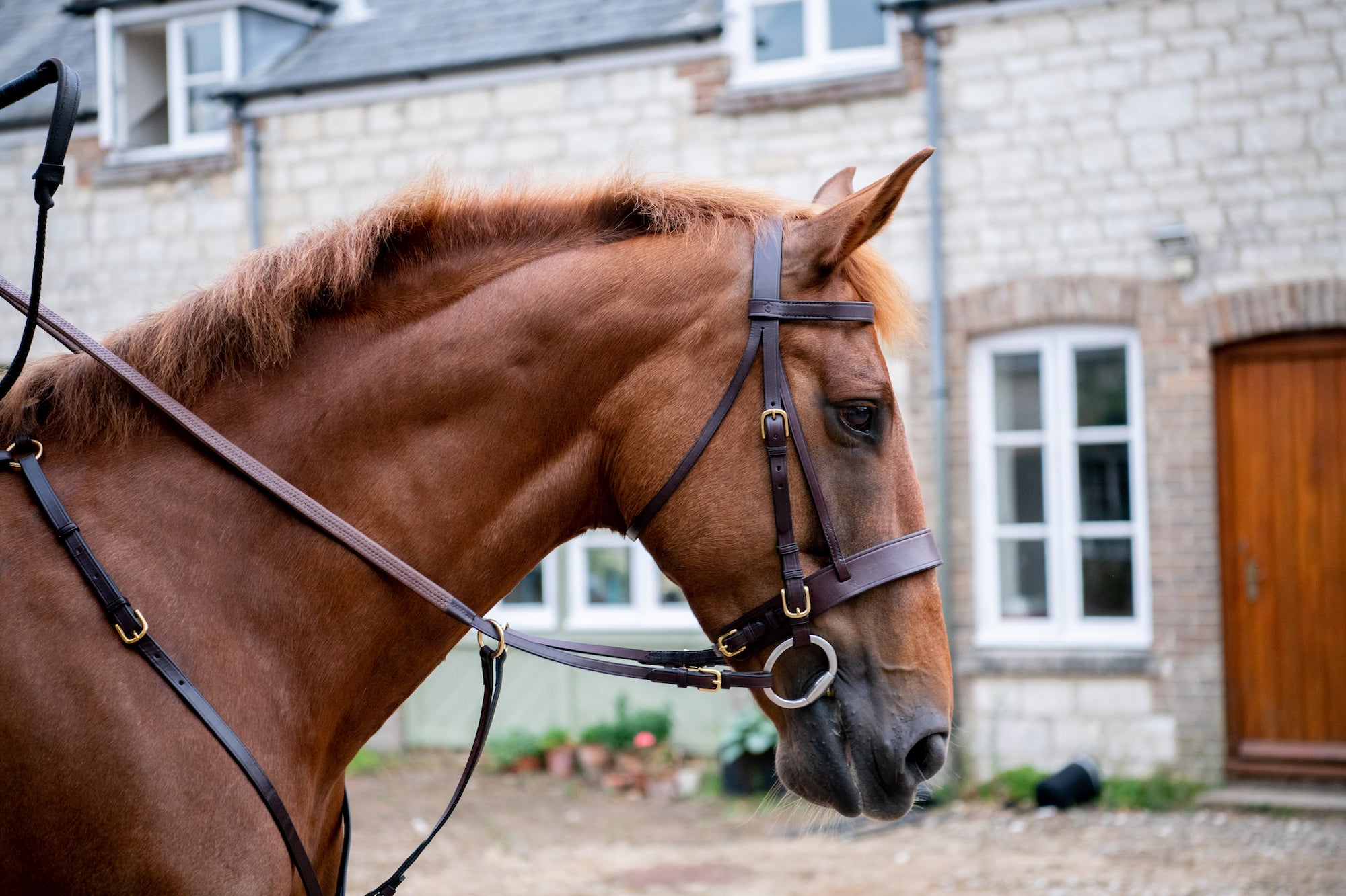 Build Your Own Bridle