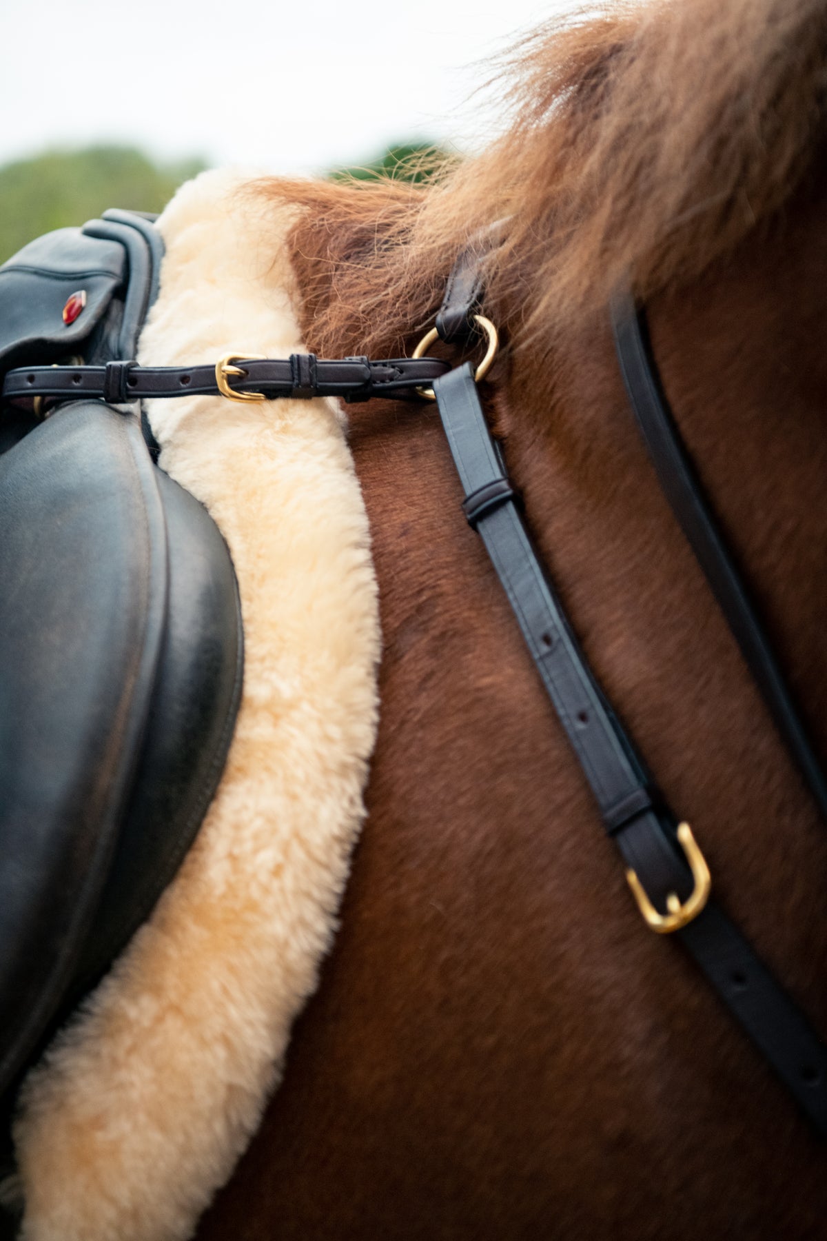 Engel Sheepskin GP Numnah – Full Lining &amp; Full Rolled Edge