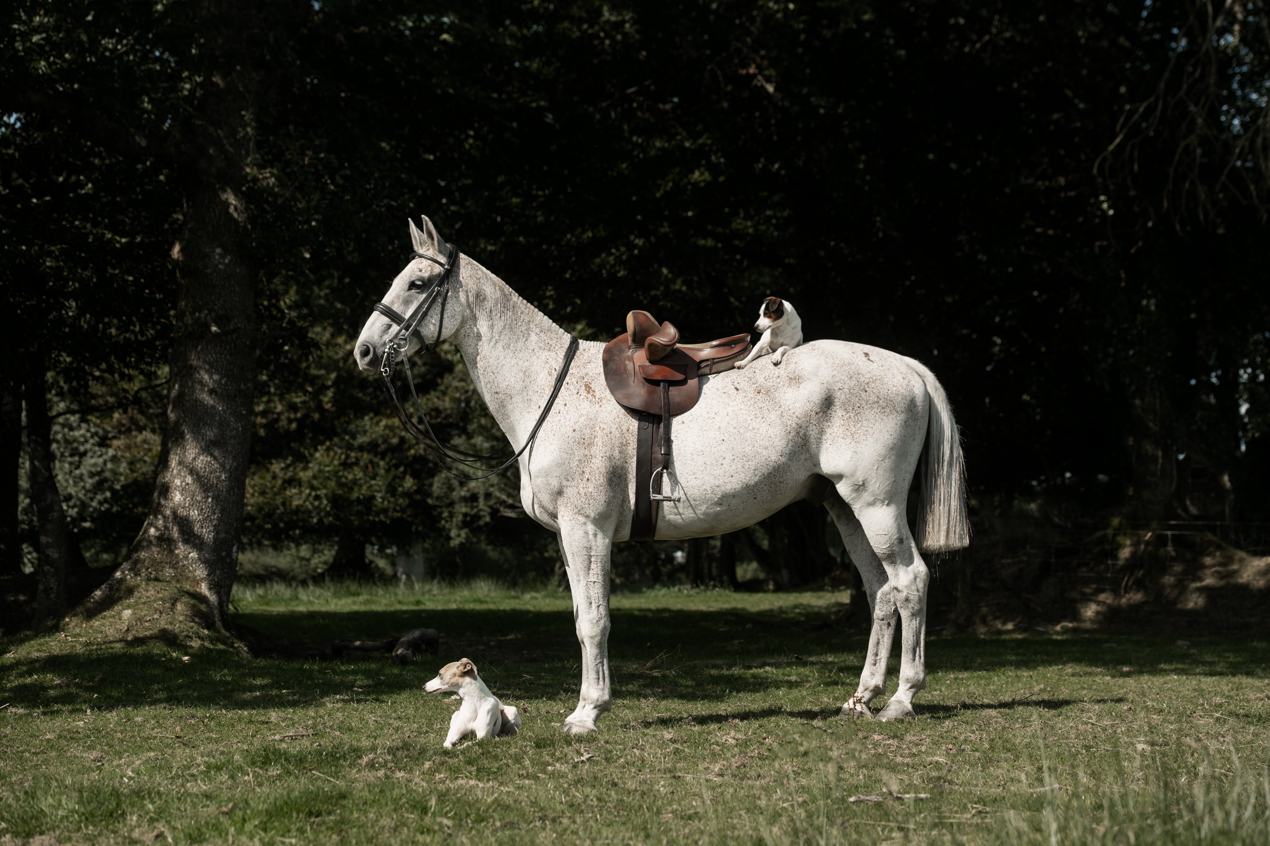 Outback Unisex Pak-A-Roo Unisex Waterproof Duster – Glaze & Gordon