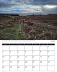 Glaze & Gordon Countryside Charity Calendar 2025