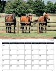 Glaze & Gordon Equestrian Charity Calendar 2025