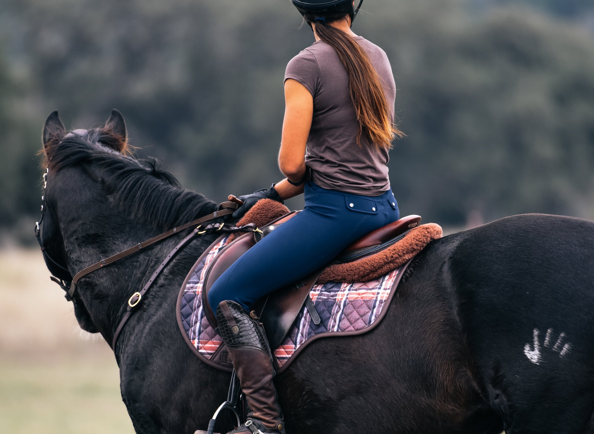 Sixteen Cypress Close Contact Saddle Pad