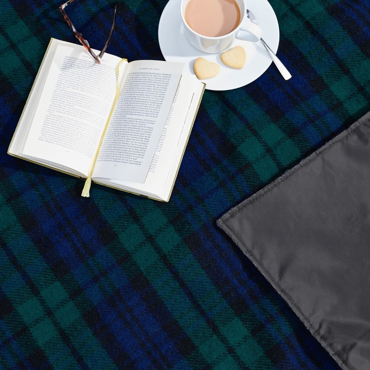 Glaze &amp; Gordon &#39;Severn&#39; Waterproof Picnic Blanket