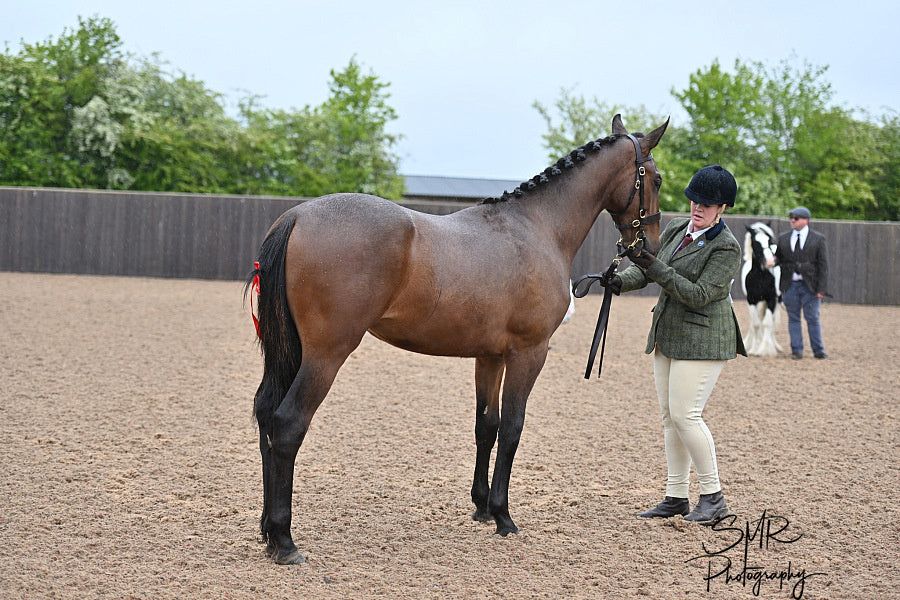 Glaze &amp; Gordon Deluxe Flat Bridle