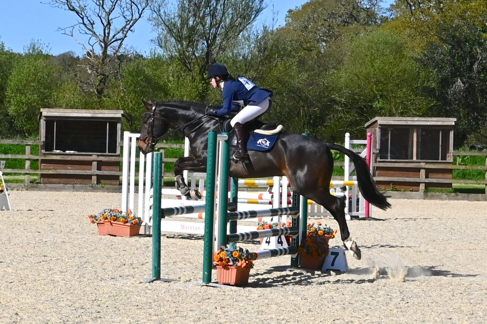 Glaze &amp; Gordon Jumper Saddle Pad