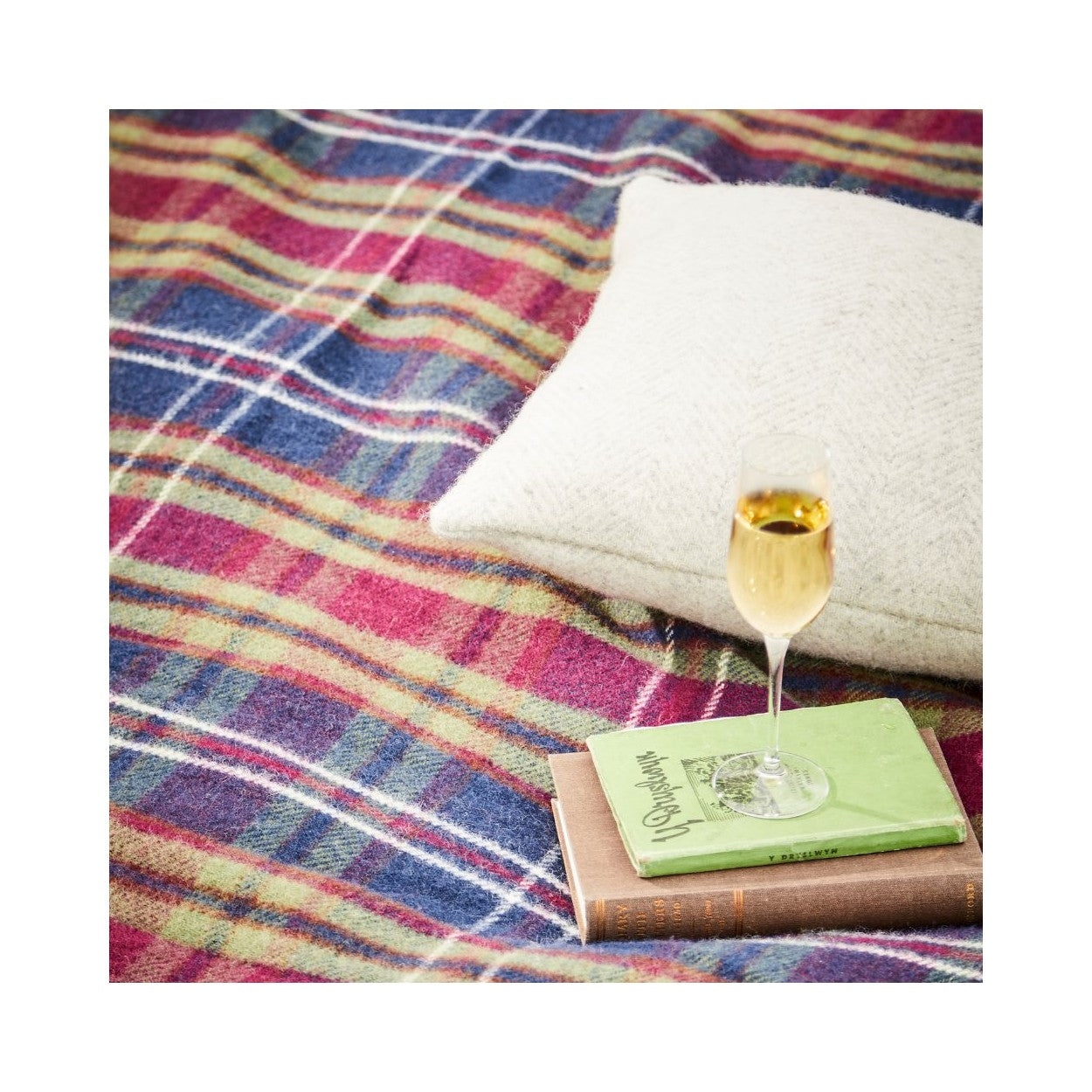 Glaze &amp; Gordon &#39;Stour&#39; Waterproof Picnic Blanket