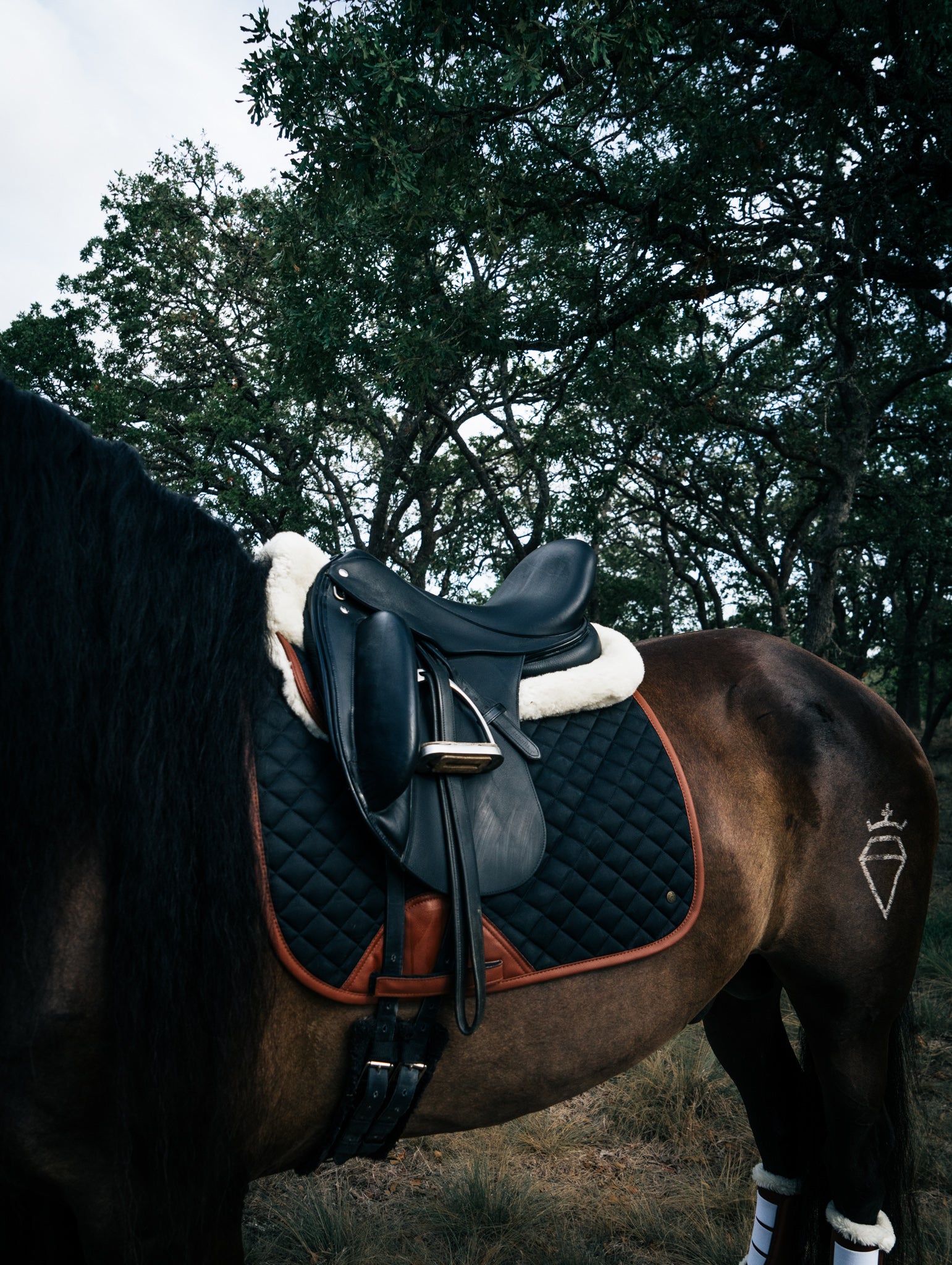 Sixteen Cypress Dressage Saddle Pad