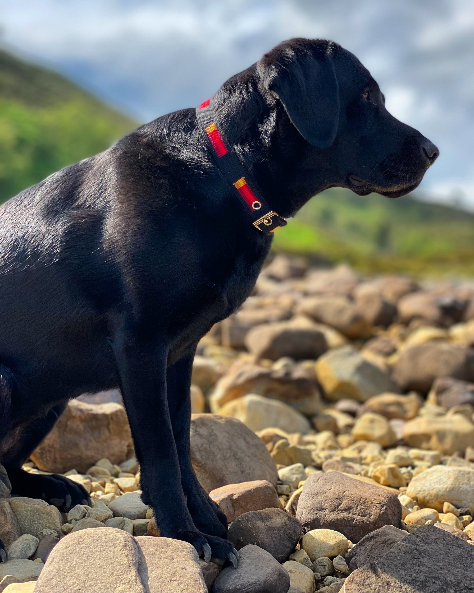 Smathers &amp; Branson Shotgun Cartridge Collar