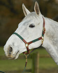 Glaze & Gordon Leather and Cotton Web Headcollar - Handcrafted