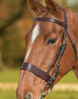 Glaze & Gordon Deluxe Flat Bridle