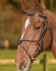 Glaze & Gordon Deluxe Flat Bridle