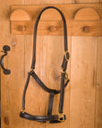 Glaze & Gordon Classic Leather Headcollar - Handcrafted