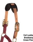 Schneiders Dura-tech® Comfort Breakaway Headcollar (with full leather crown piece)