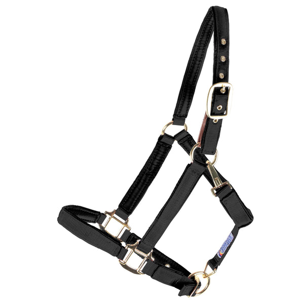 Schneiders Dura-tech® Fully Padded Nylon Breakaway Headcollar (with small leather connecting tab)