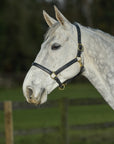 Glaze & Gordon Classic Leather Headcollar - Handcrafted