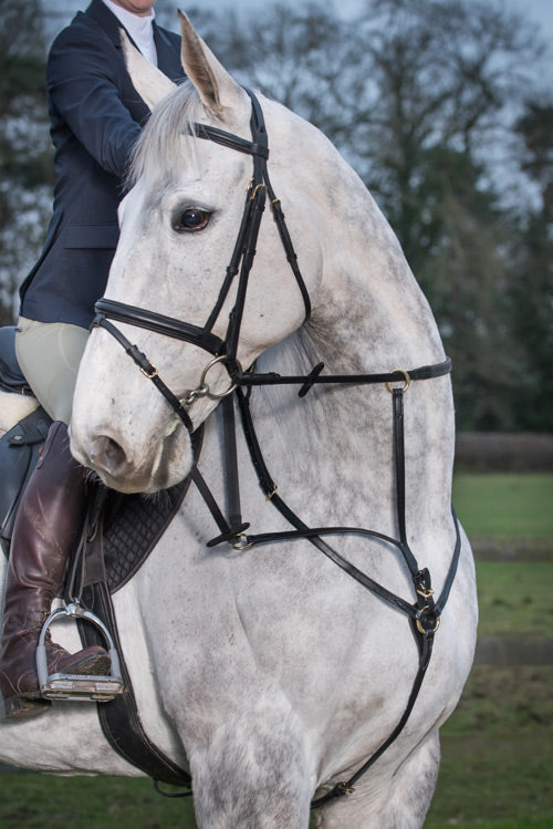 Glaze &amp; Gordon Classic Breastplate