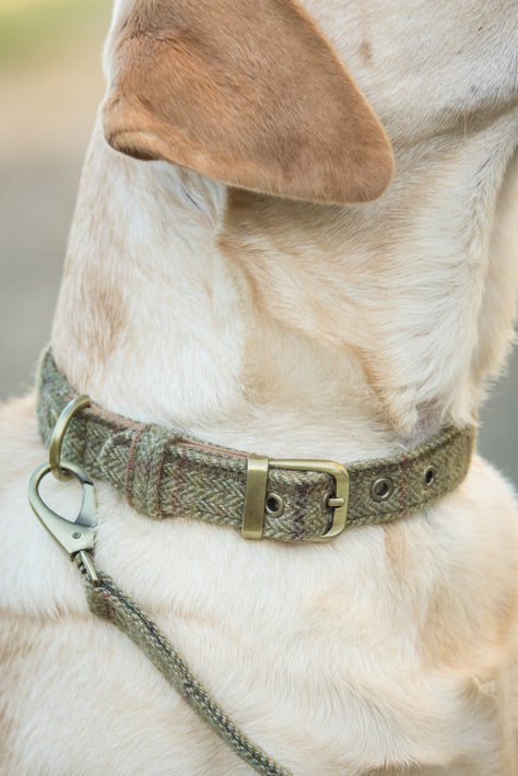 Glaze &amp; Gordon Darlington Tweed Collar