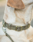 Glaze & Gordon Darlington Tweed Collar