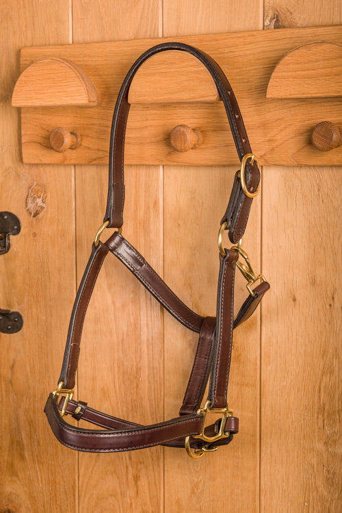 Glaze &amp; Gordon Classic Leather Headcollar - Handcrafted