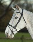 Glaze & Gordon Deluxe Flat Bridle