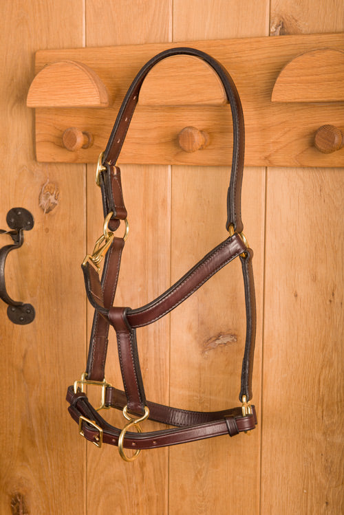 Glaze &amp; Gordon Classic Leather Headcollar - Handcrafted