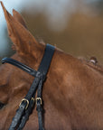 Glaze & Gordon Luxury Raised Bridle