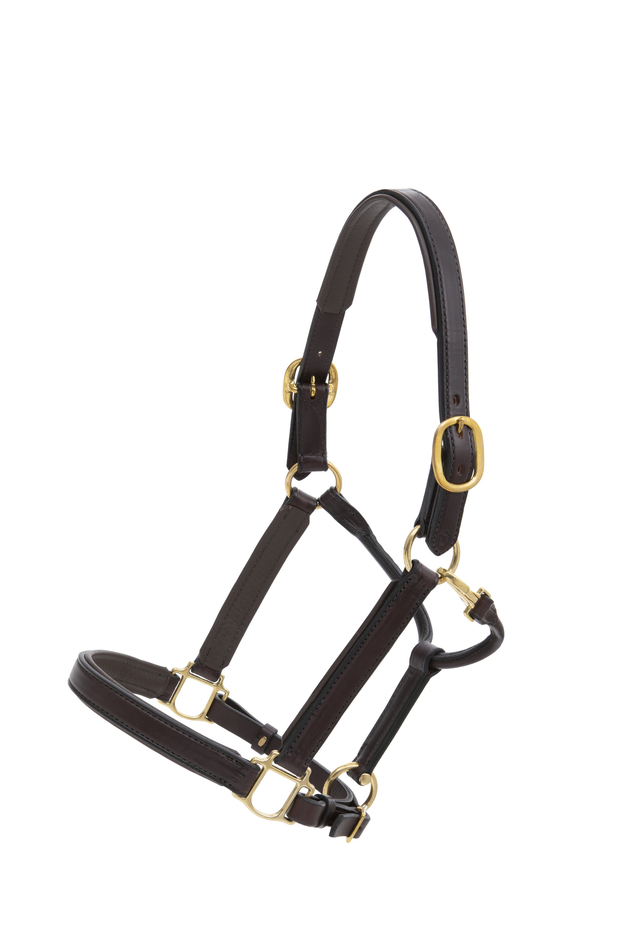 Glaze &amp; Gordon Deluxe Padded Leather Headcollar - Handcrafted