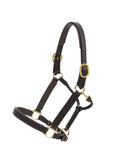 Glaze & Gordon Deluxe Padded Leather Headcollar - Handcrafted