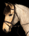 Glaze & Gordon Deluxe Comfort Padded Flash Noseband