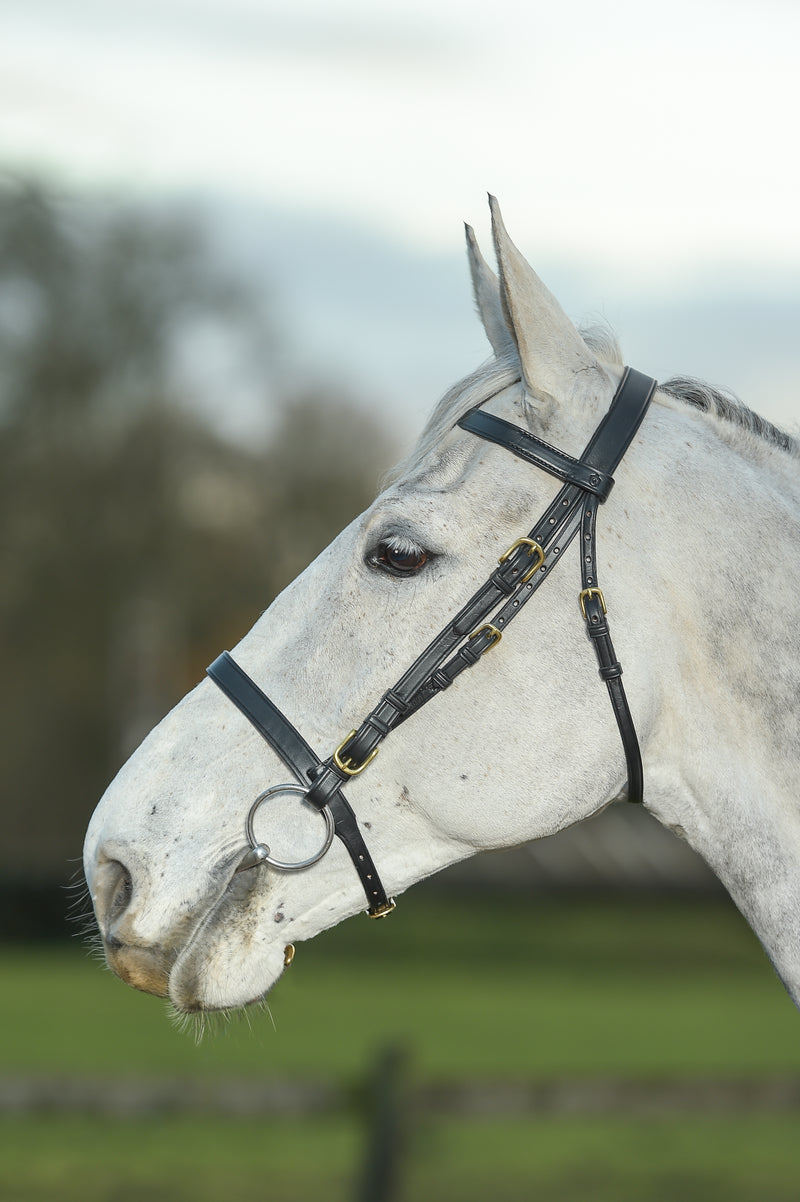 Glaze & Gordon Flat 1" Cavesson Noseband