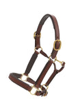 Glaze & Gordon Deluxe Padded Leather Headcollar - Handcrafted