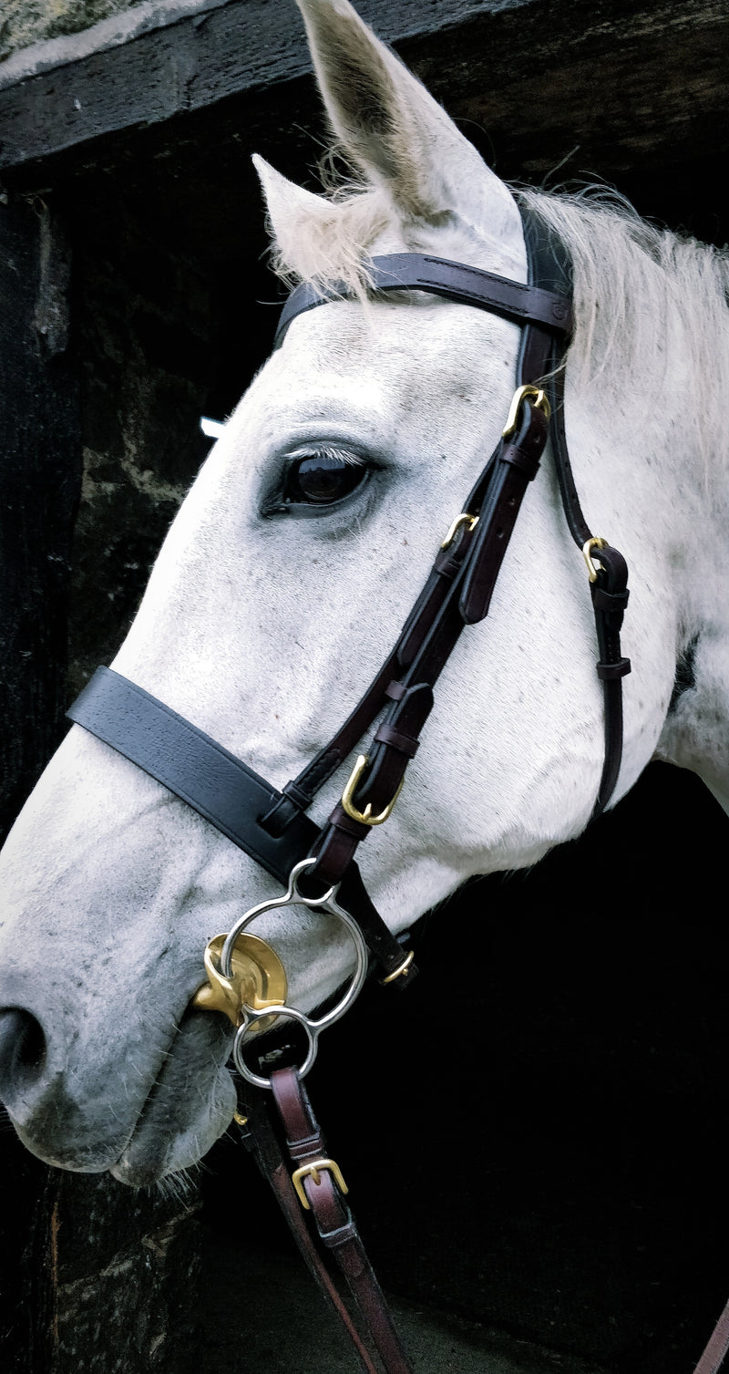 Glaze & Gordon Full Rubber Reins With Buckle Ends