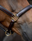 Glaze & Gordon Deluxe Padded Leather Headcollar - Handcrafted