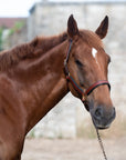 Glaze & Gordon Deluxe Padded Leather Headcollar - Handcrafted